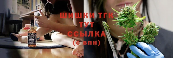 сатива Куйбышев