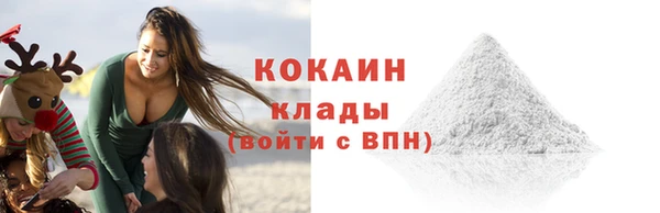 соль ск Ладушкин