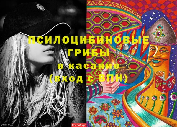 соль ск Ладушкин