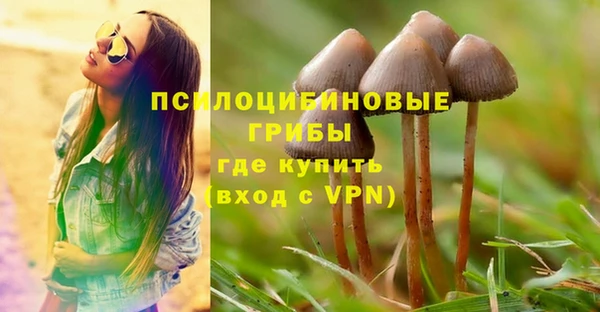 соль ск Ладушкин
