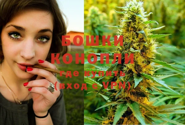 сатива Куйбышев