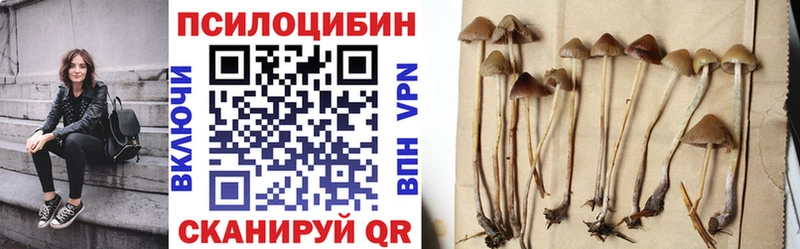 Купить закладки  Инза  Галлюциногенные грибы мухоморы 